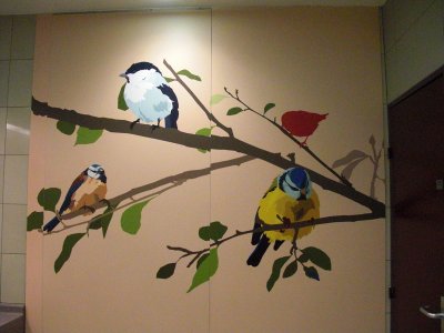 birds